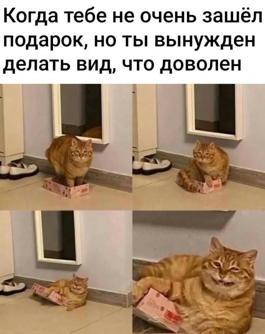 КотоМЕМЫ для хорошего настроения