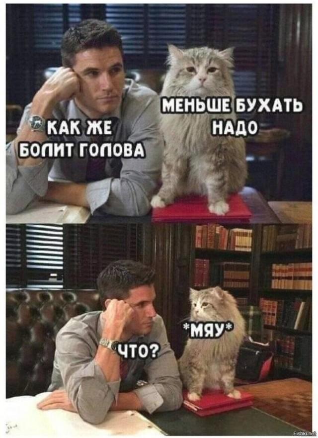 КотоМЕМЫ для хорошего настроения