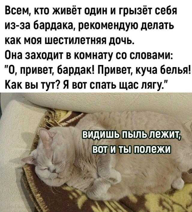 Смешные и забавные котоМЕМЫ