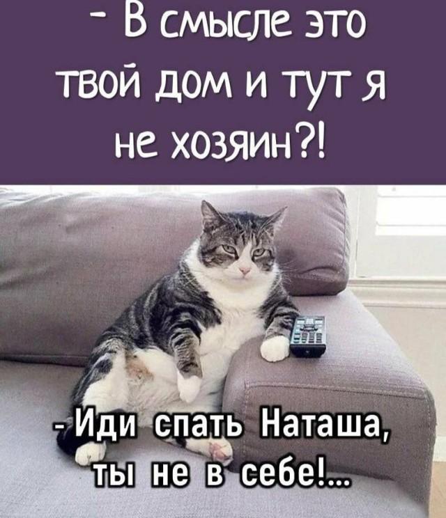 КотоМЕМЫ для хорошего настроения