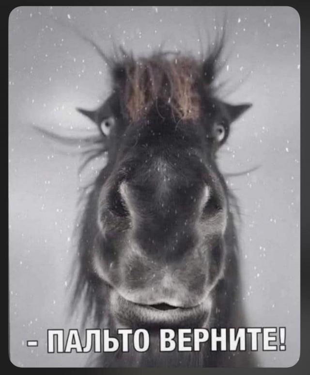 Подборка прикольных фото №3672