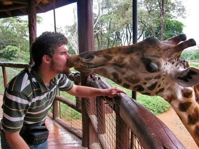 Подборка фотографий, сделанных в самый нужный момент