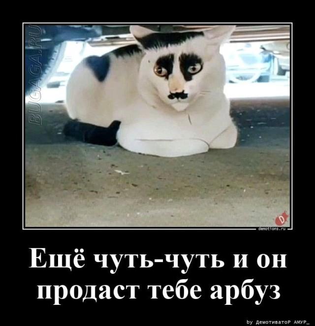 
			Демотиваторы №3624 (20 фото)