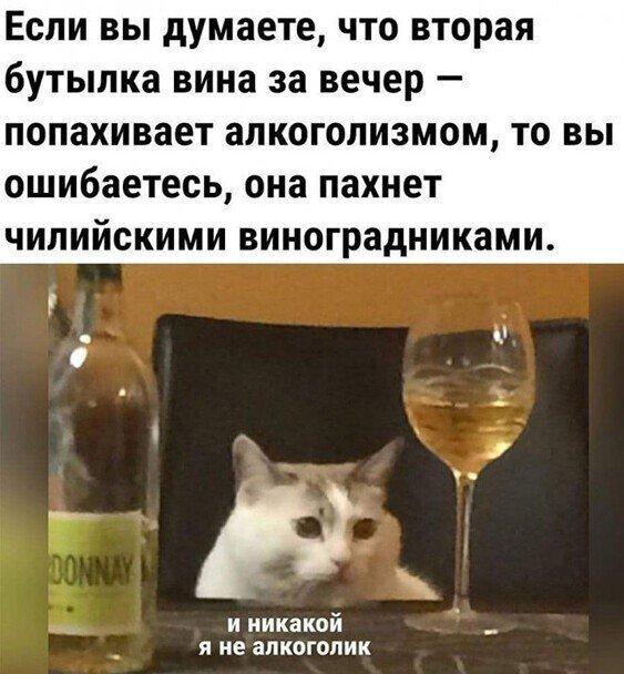 Смешные мемы про алкоголь