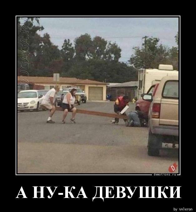 
			Демотиваторы №3624 (20 фото)