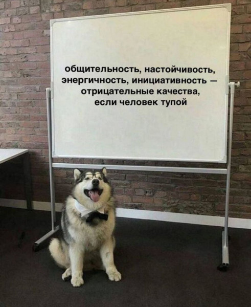 Мем №1516145