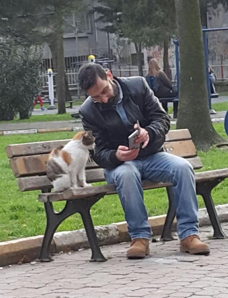 
        20+ занятий котиков, которым пушистые предаются в свободное от еды и шалостей время    