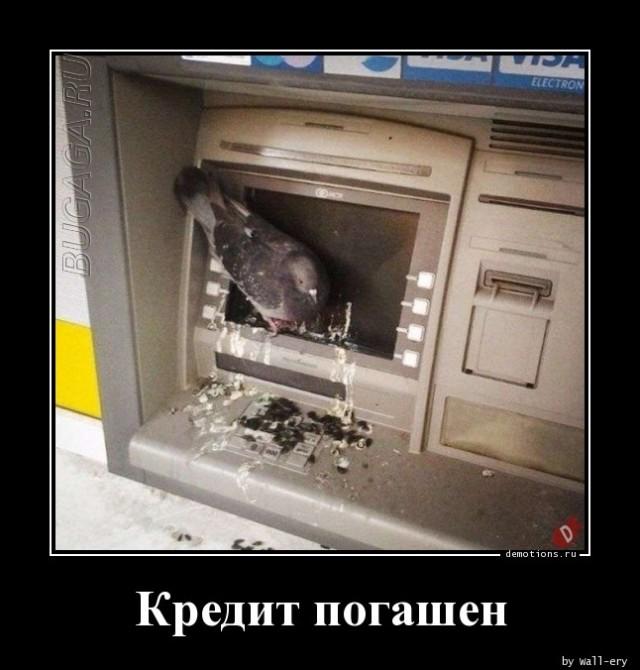 
			Демотиваторы №3624 (20 фото)