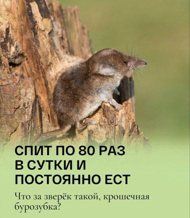 Подборка прикольных фото №3695