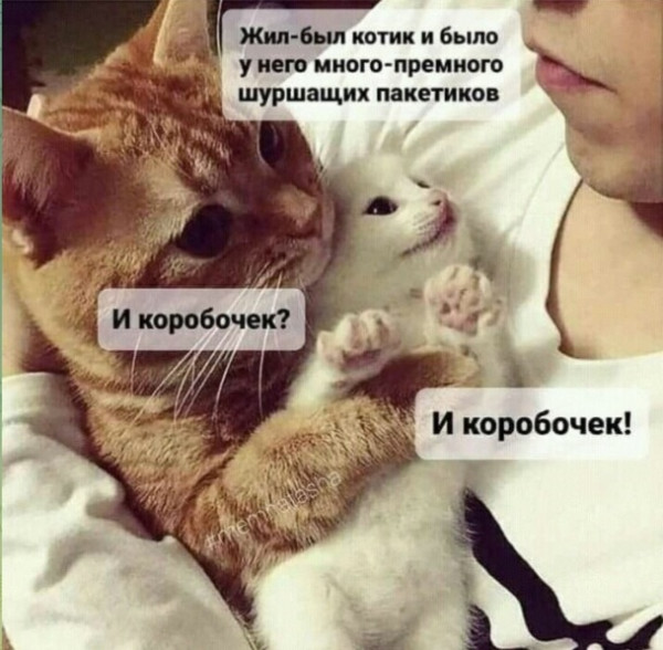 Мем №1525029