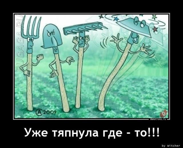
			Демотиваторы №3634 (17 фото)