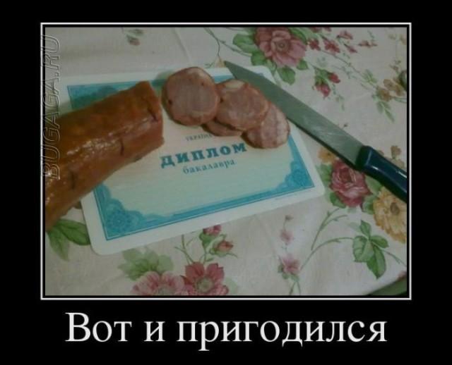 
			Демотиваторы №3634 (17 фото)