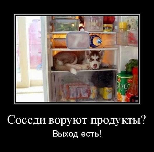 
			Демотиваторы №3642 (15 фото)