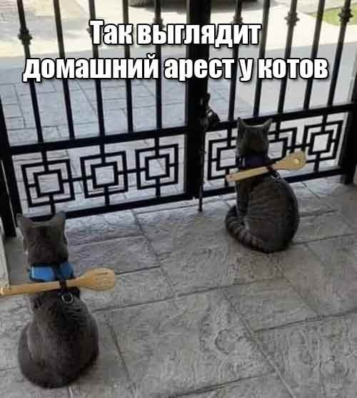 Мем №1526269