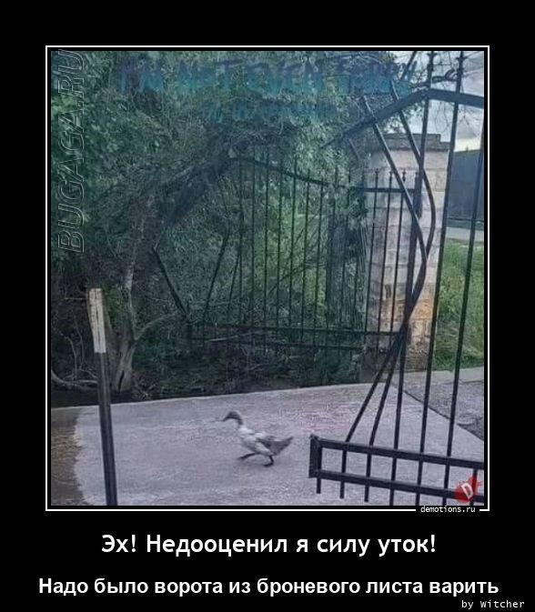 
			Демотиваторы №3636 (18 фото)