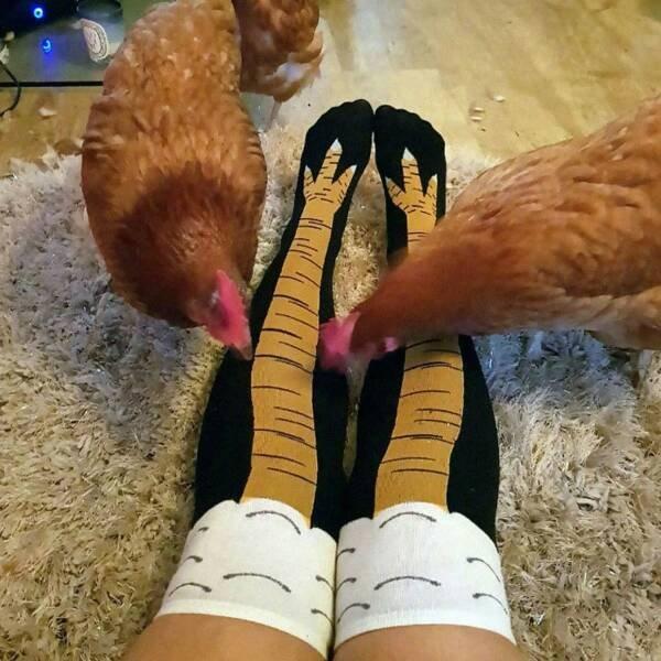 Подборка прикольных фото №3692