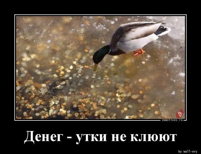 
			Демотиваторы №3649 (15 фото)