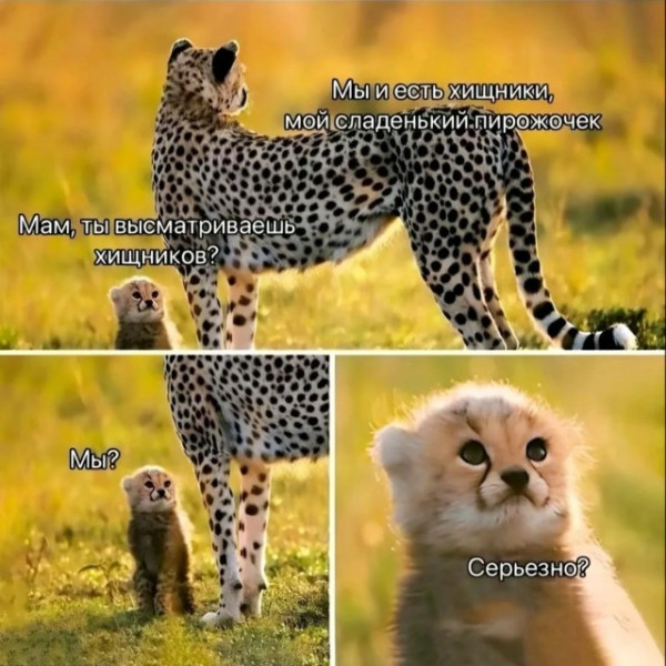 Мем №1526270