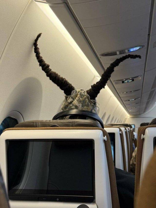 Подборка прикольных фото №3694