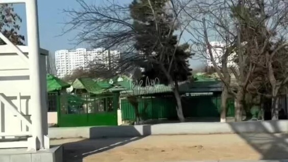 
        Туркменистан и его самые странные законы    