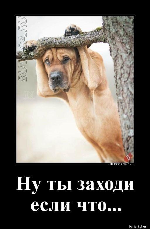 
			Демотиваторы №3632 (20 фото)
