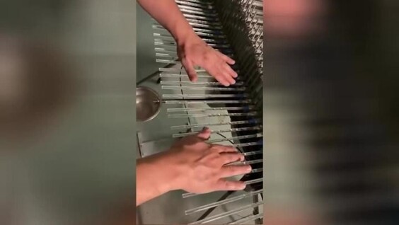 
        Неземные звуки: на видео сняли музыкальный инструмент Хрустальный Басшет    