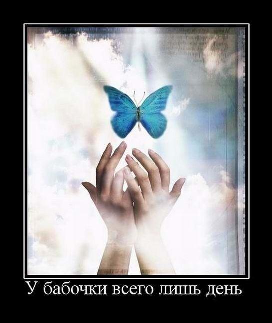 
			Демотиваторы №3644 (15 фото)
