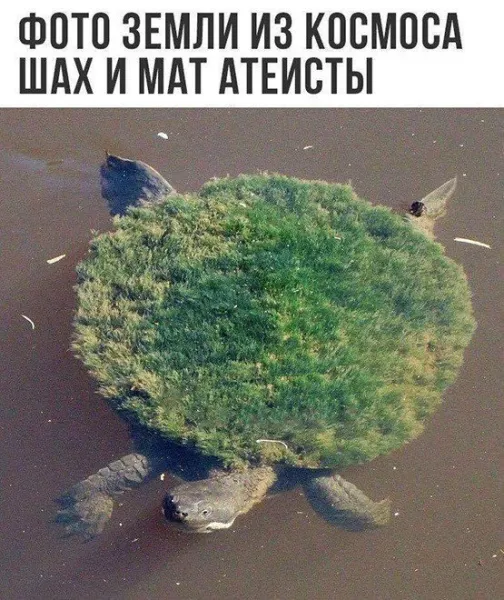 Мем №1524882