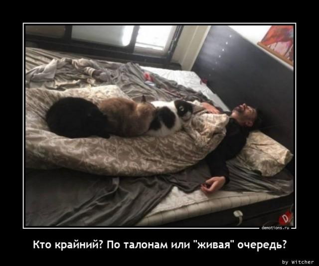 
			Демотиваторы №3651 (15 фото)