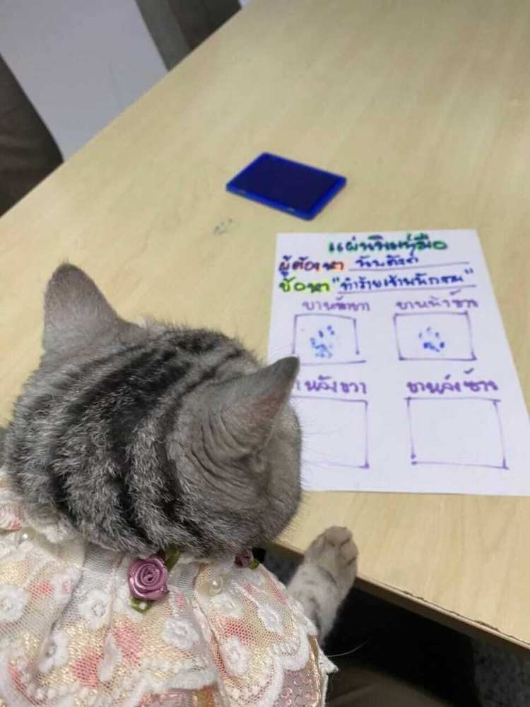 
        Самое милое задержание    