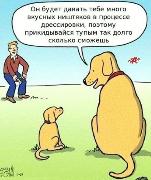 Коллекция комиксов для позитива: «Как сделать автопортрет»