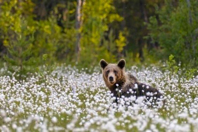 Подборка прикольных фото №3694