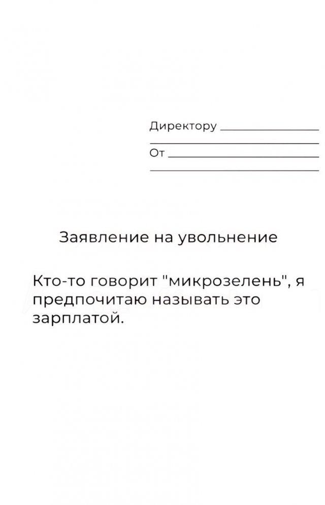 В Сети показали лучшие шаблоны для увольнения