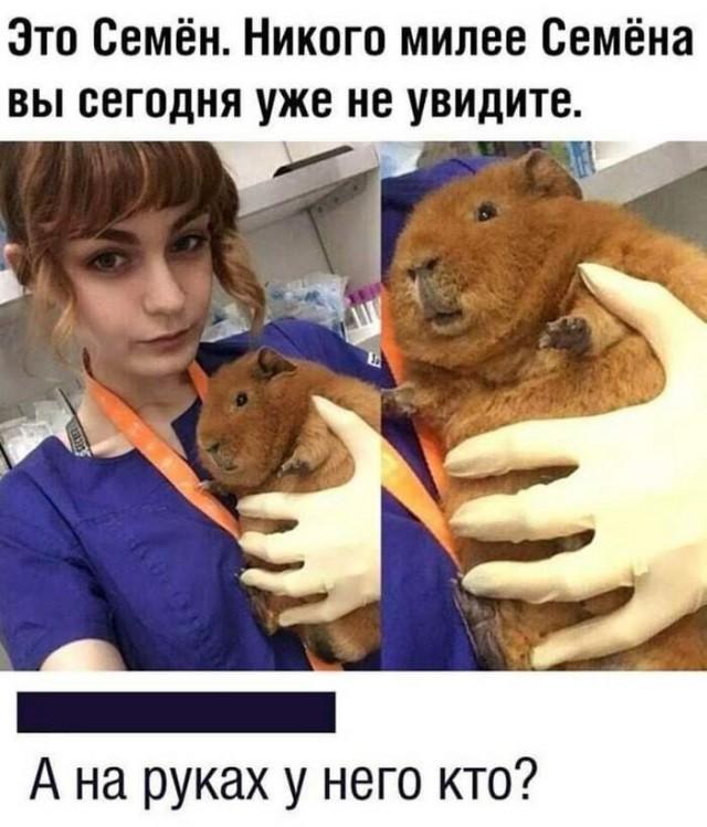 Подборка прикольных фото №3690