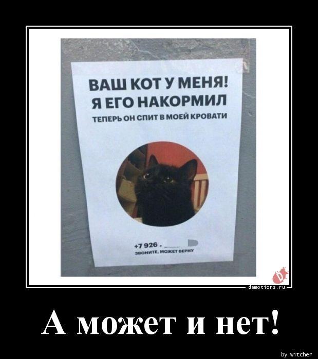 
			Демотиваторы №3642 (15 фото)