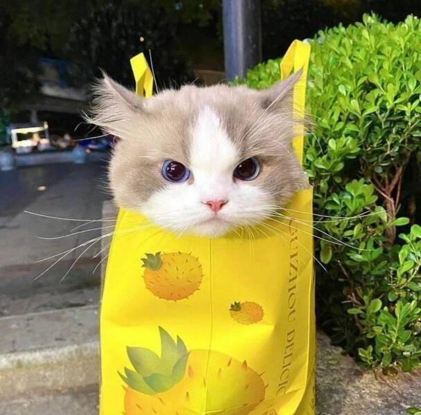 Подборка прикольных фото №3688