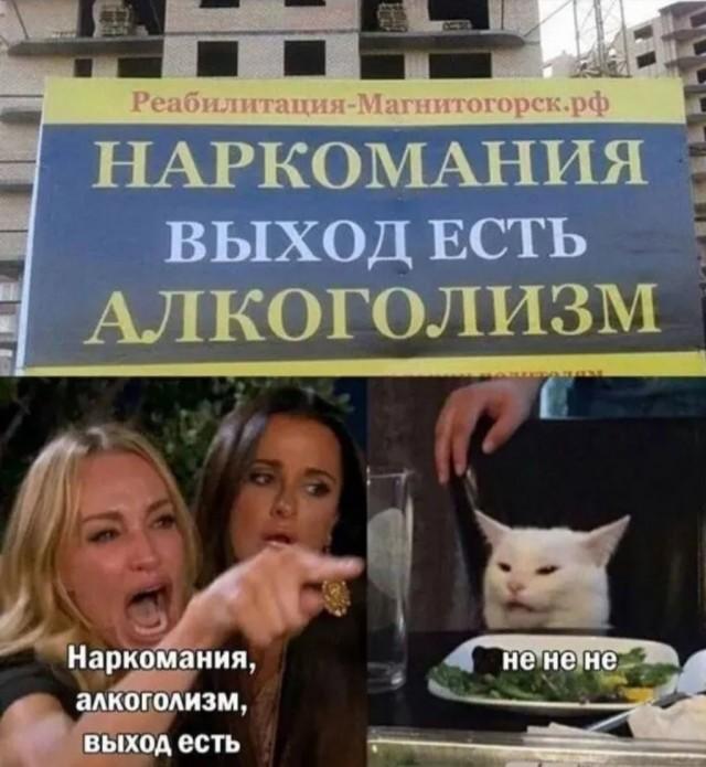 Подборка картинок-баянов с котиками и про котиков