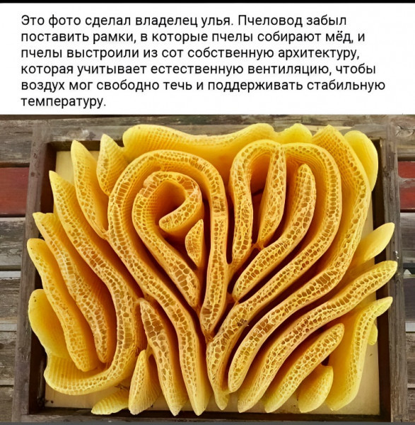 Мем №1525705