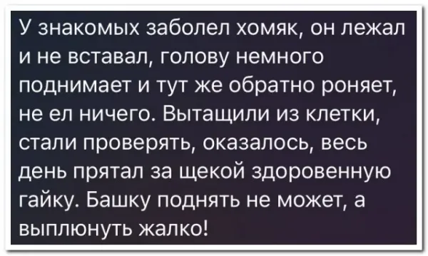 Мем №1524396