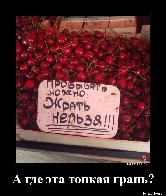 
			Демотиваторы №3650 (15 фото)