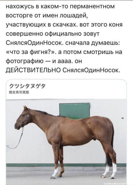 Мем №1523541