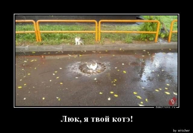 
			Демотиваторы №3637 (15 фото)
