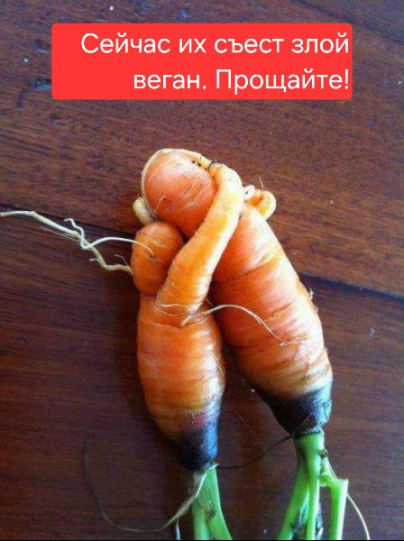 Мем №1524390