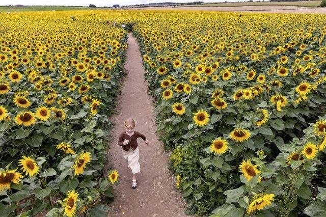 Подборка прикольных фото №3694