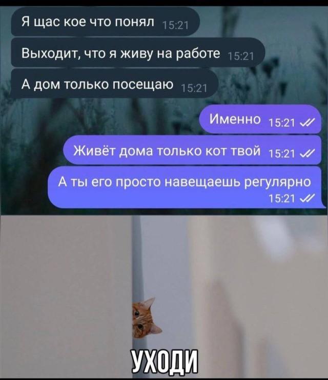 Прикольные комментарии