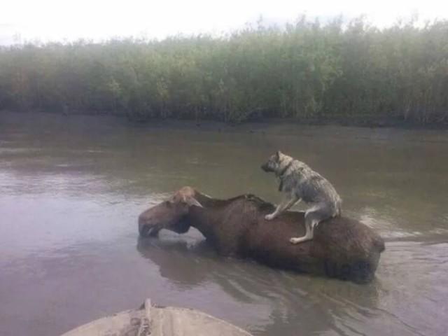Подборка прикольных фото №3688