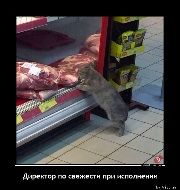 
			Демотиваторы №3651 (15 фото)