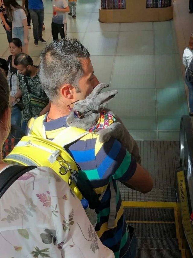 Чего только не увидишь в метро