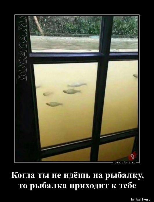 
			Демотиваторы №3636 (18 фото)