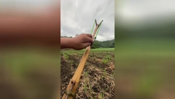 
        На видео сняли приоритеты мужчин после 30 — самодельная рогатка с гвоздями    